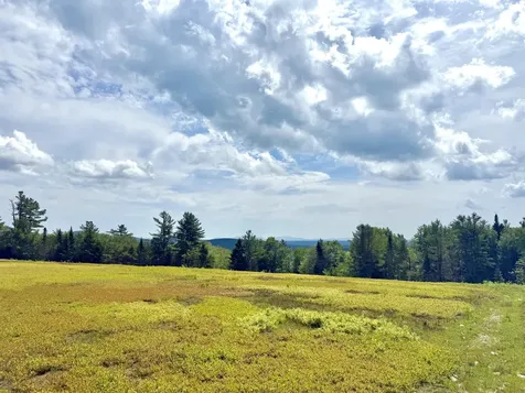L1,4,9,11 Martins Ridge Road Franklin ME 04634