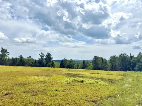 L1,4,9,11 Martins Ridge Road Franklin ME 04634