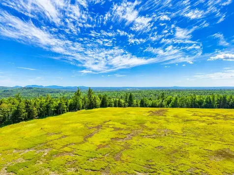 L1,4,9,11 Martins Ridge Road Franklin ME 04634