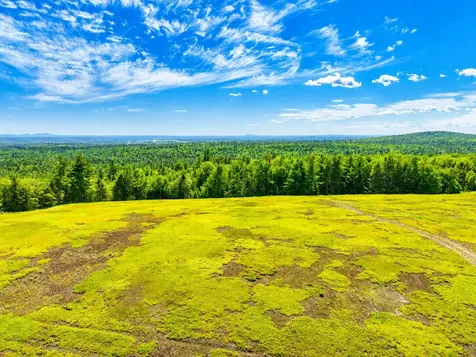 L1,4,9,11 Martins Ridge Road Franklin ME 04634