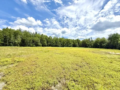 L1,4,9,11 Martins Ridge Road Franklin ME 04634