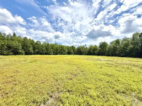 L1,4,9,11 Martins Ridge Road Franklin ME 04634