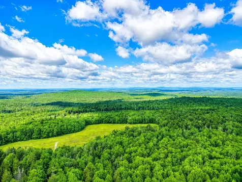 L1,4,9,11 Martins Ridge Road Franklin ME 04634
