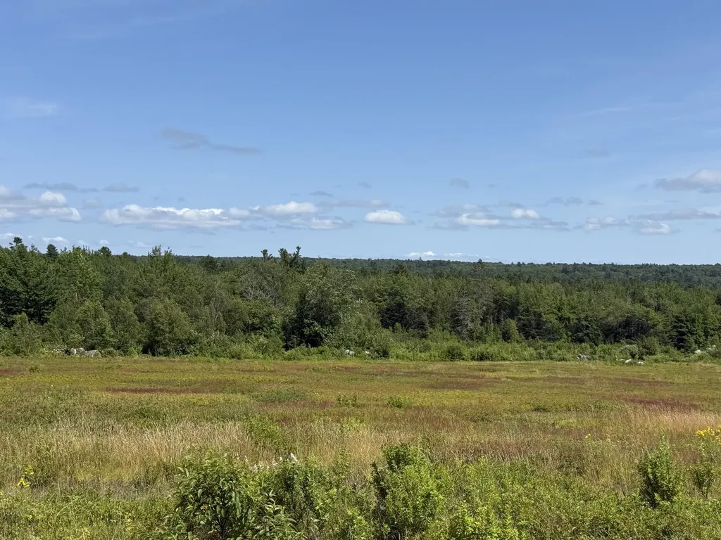 MAP13LOT21 Route 199 Route Penobscot ME 04476