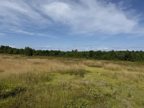 MAP13LOT21 Route 199 Route Penobscot ME 04476
