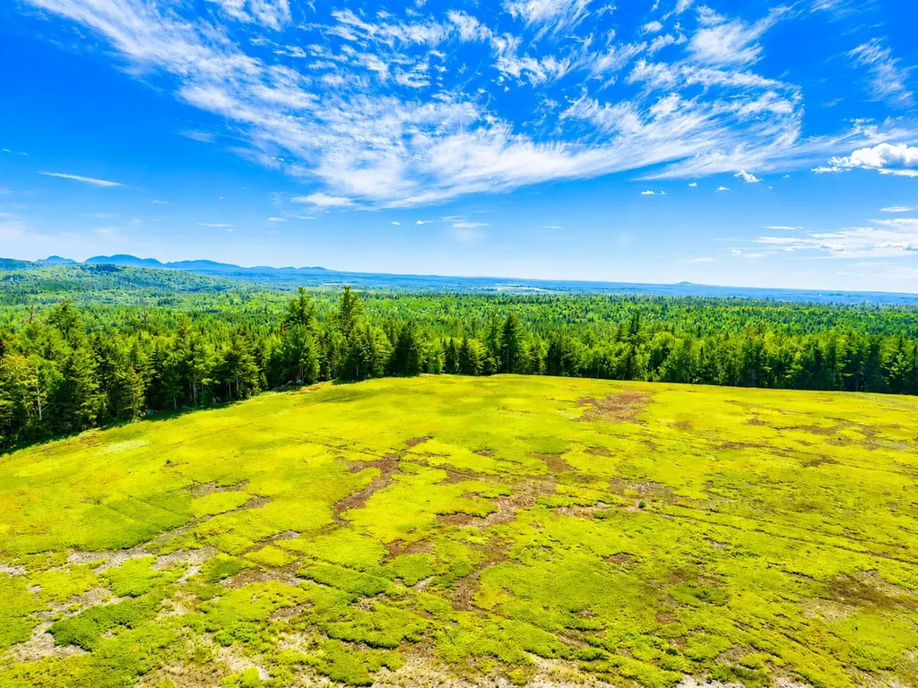 MAP13LOT11 Martins Ridge Road Franklin ME 04634