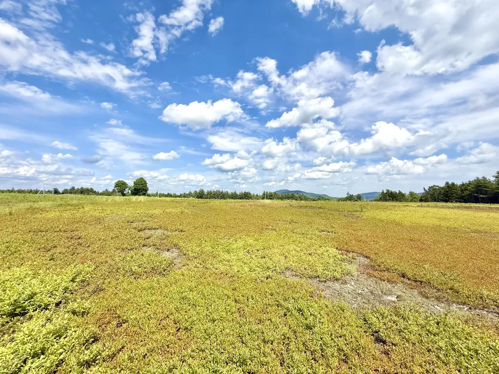 MAP13LOT11 Martins Ridge Road Franklin ME 04634