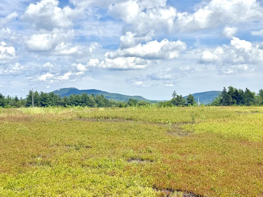 MAP13LOT11 Martins Ridge Road Franklin ME 04634