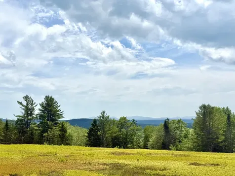 MAP13LOT11 Martins Ridge Road Franklin ME 04634