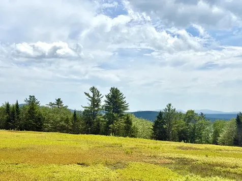 MAP13LOT11 Martins Ridge Road Franklin ME 04634