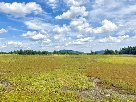 MAP13LOT11 Martins Ridge Road Franklin ME 04634