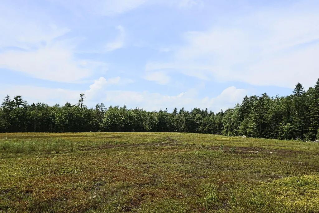 MAP13LOT9 Martins Ridge Road Franklin ME 04634