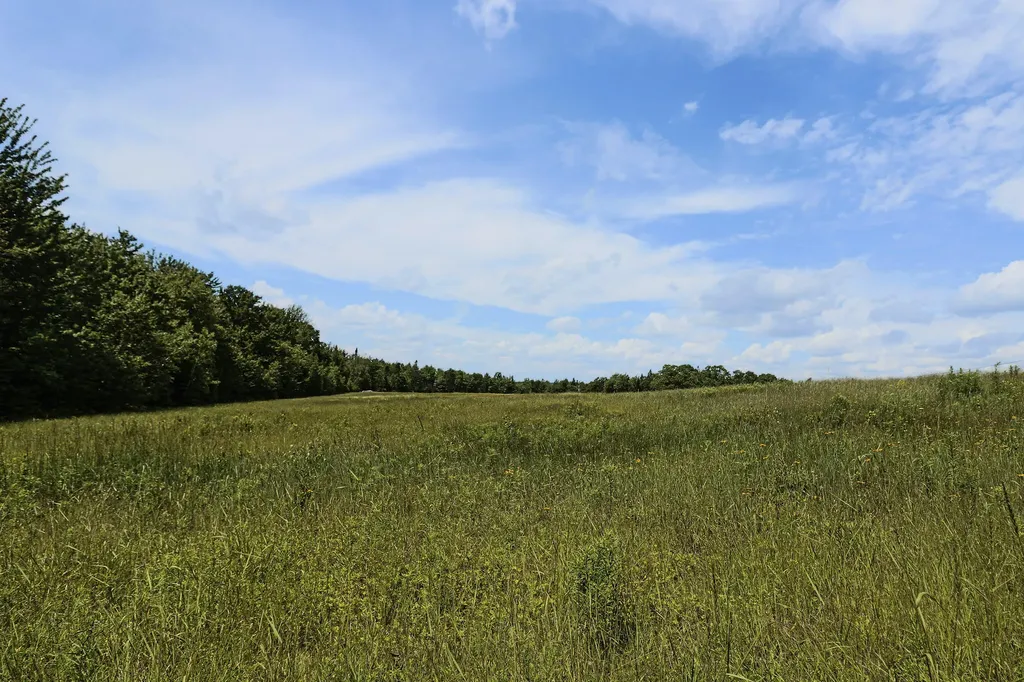 MAP13LOT9 Martins Ridge Road Franklin ME 04634