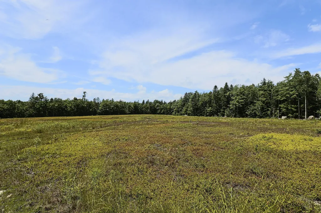 MAP13LOT9 Martins Ridge Road Franklin ME 04634