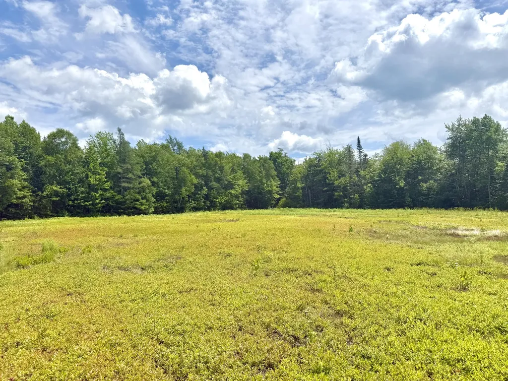 MAP13LOT9 Martins Ridge Road Franklin ME 04634