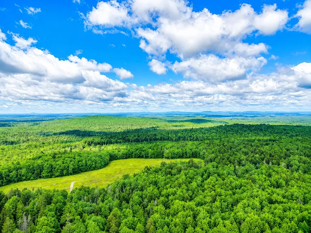 MAP13LOT9 Martins Ridge Road Franklin ME 04634
