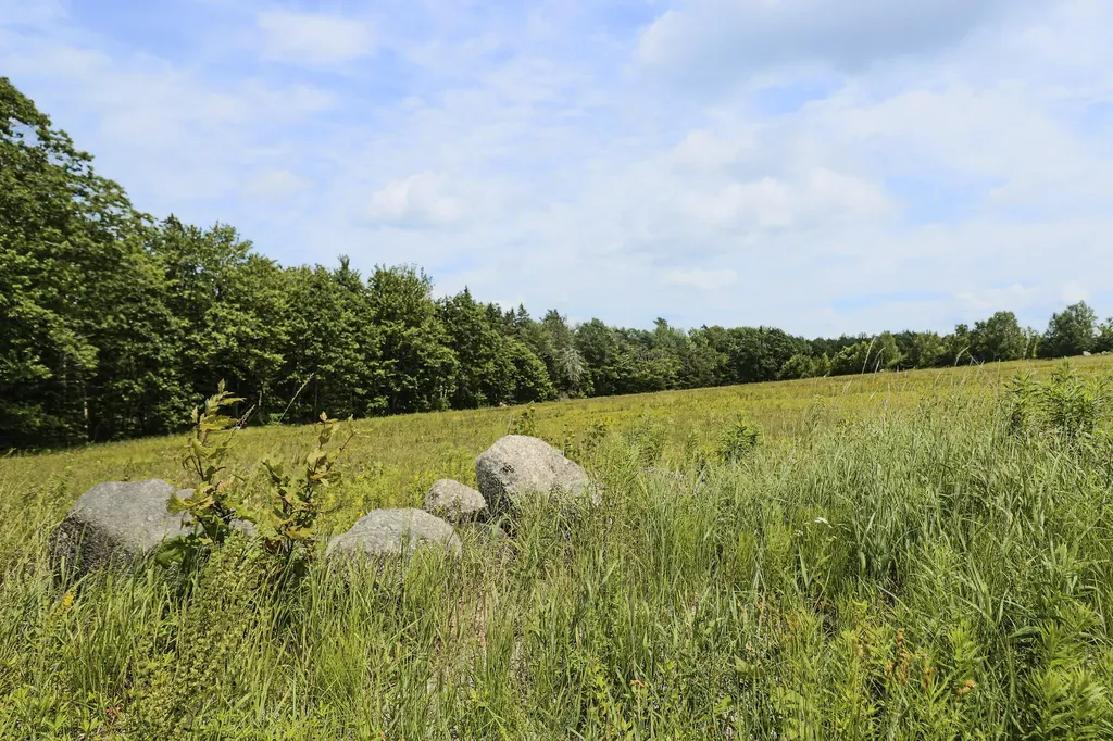 MAP13LOT4 Martins Ridge Road Franklin ME 04634