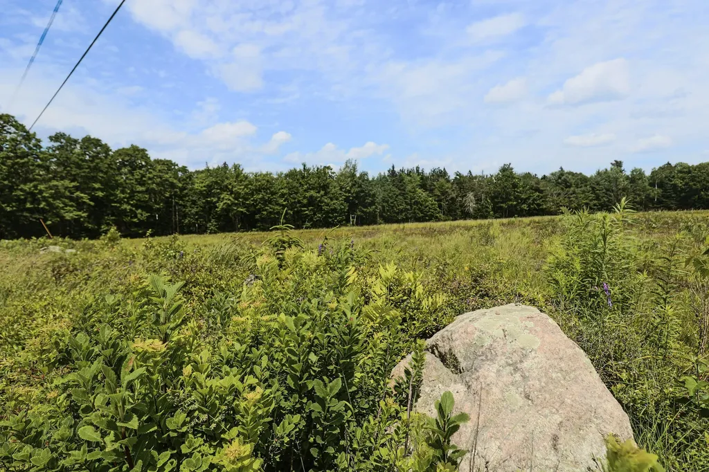 MAP13LOT4 Martins Ridge Road Franklin ME 04634