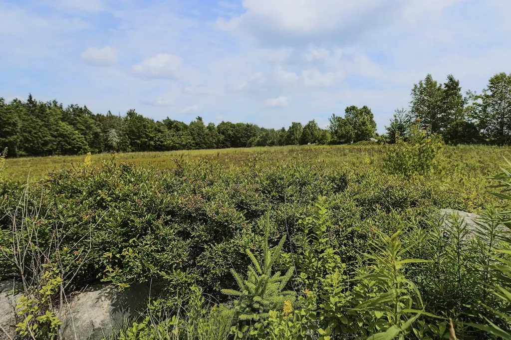 MAP13LOT4 Martins Ridge Road Franklin ME 04634