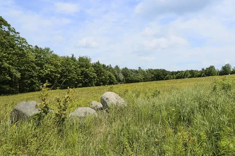 MAP13LOT4 Martins Ridge Road Franklin ME 04634