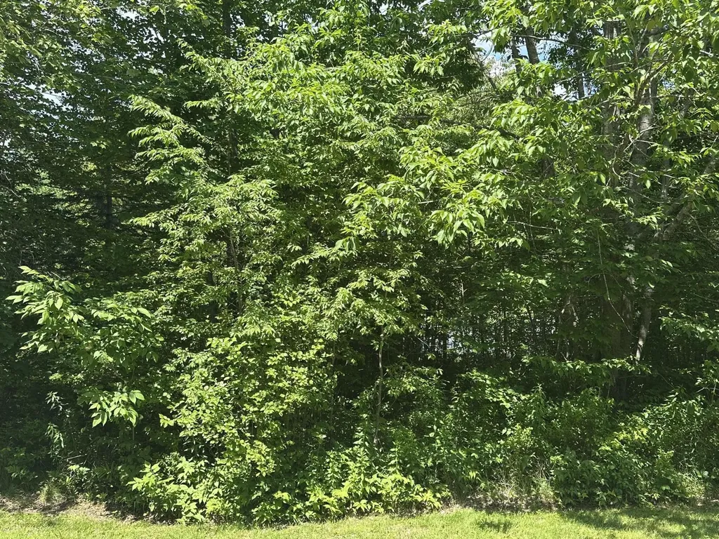 Lot #3 Peaslee Road Hancock ME 04640
