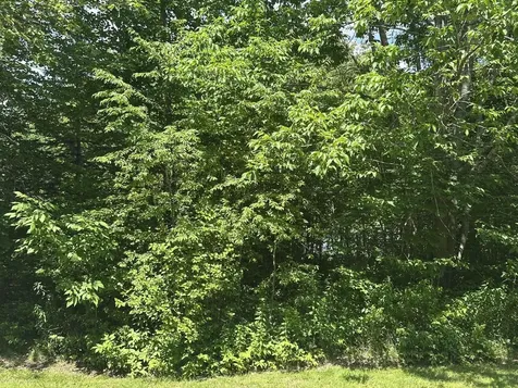 Lot #3 Peaslee Road Hancock ME 04640