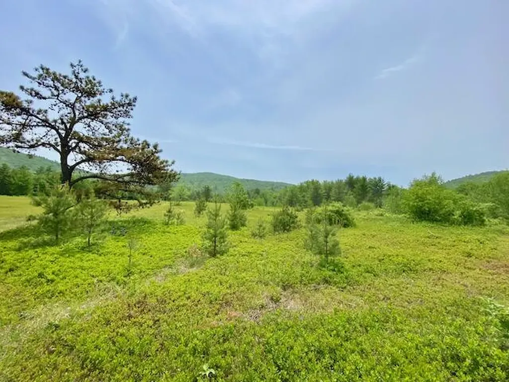 00 Brownfield Road Hiram ME 04041