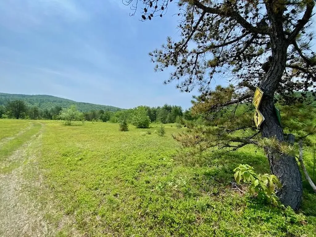 00 Brownfield Road Hiram ME 04041