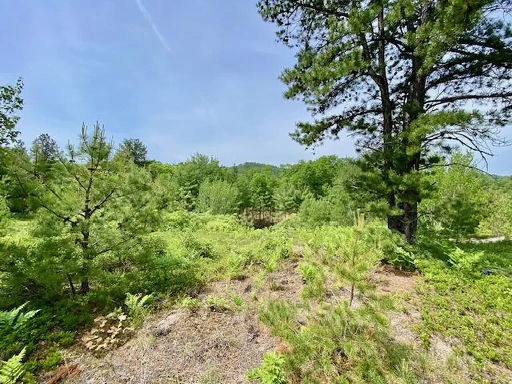 00 Brownfield Road Hiram ME 04041