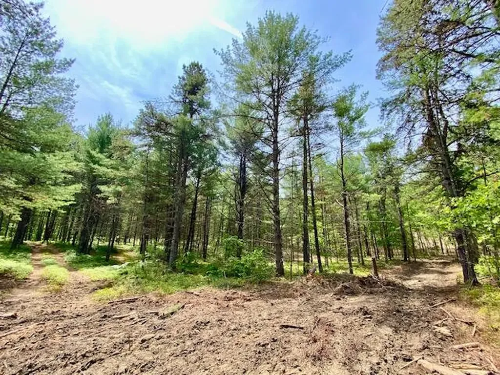 00 Brownfield Road Hiram ME 04041