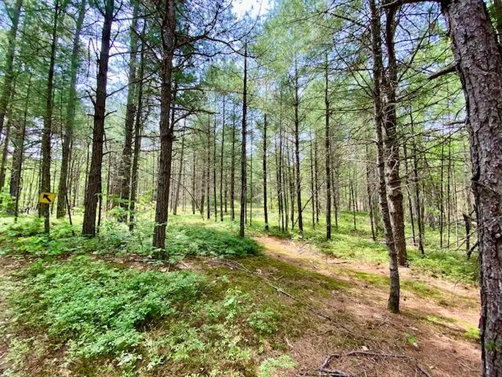 00 Brownfield Road Hiram ME 04041