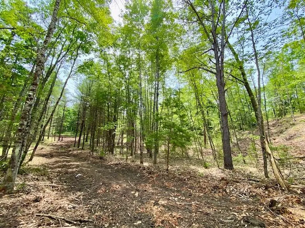 00 Brownfield Road Hiram ME 04041