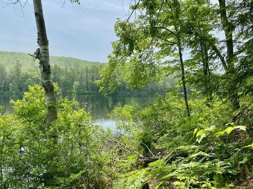 00 Brownfield Road Hiram ME 04041