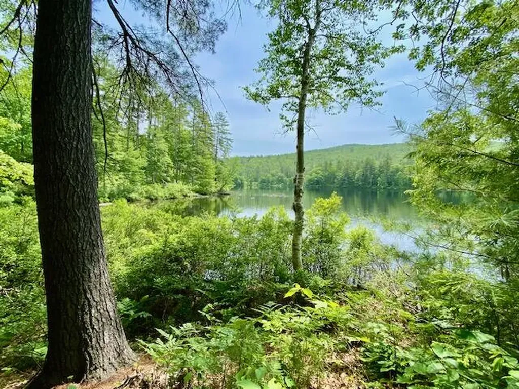 00 Brownfield Road Hiram ME 04041