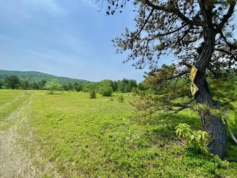 00 Brownfield Road Hiram ME 04041