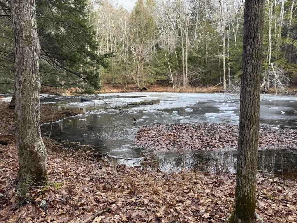 Lot 650 Gebung Road Alfred ME 04002