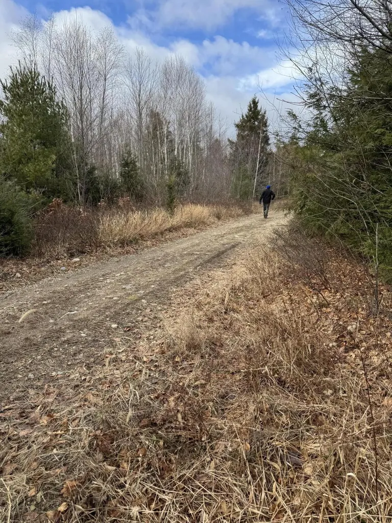 Lot 650 Gebung Road Alfred ME 04002