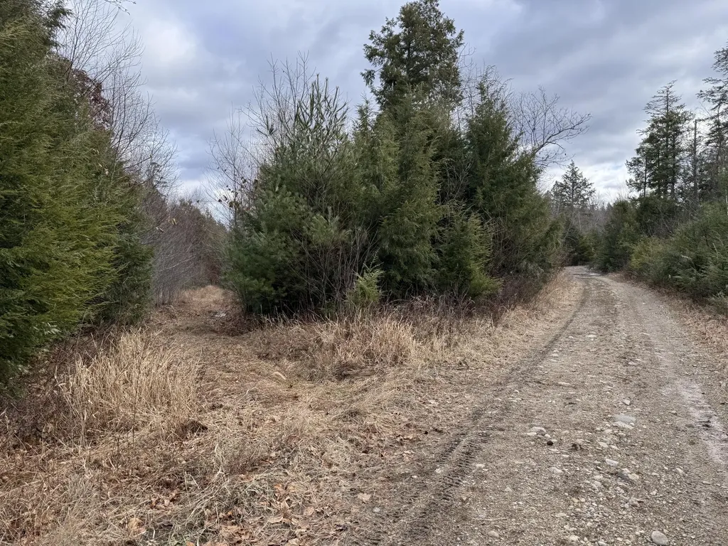 Lot 650 Gebung Road Alfred ME 04002