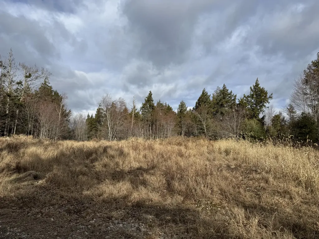 Lot 650 Gebung Road Alfred ME 04002