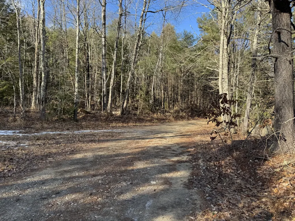 Lot 650 Gebung Road Alfred ME 04002