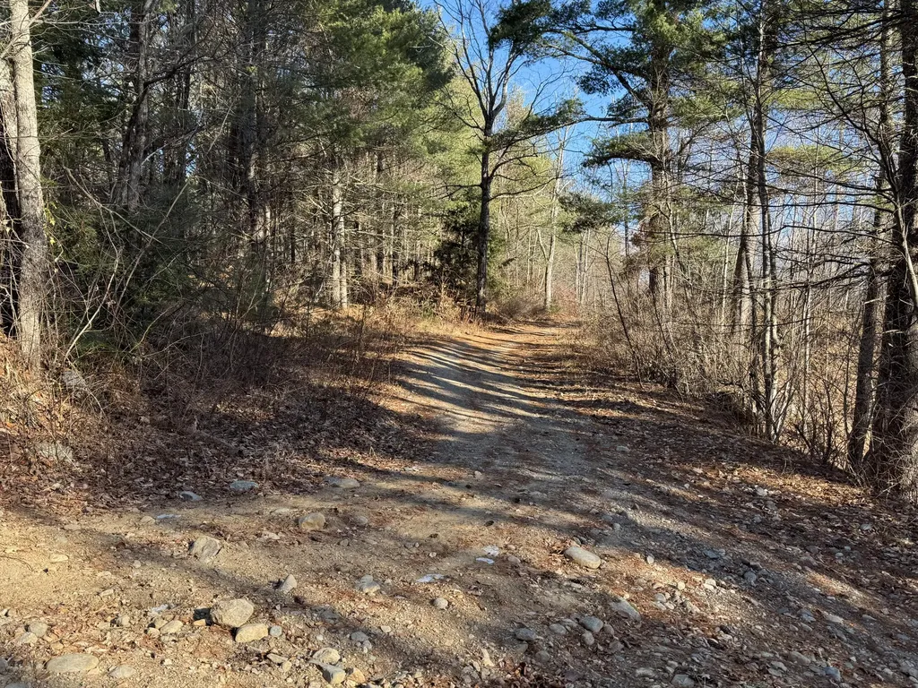 Lot 650 Gebung Road Alfred ME 04002
