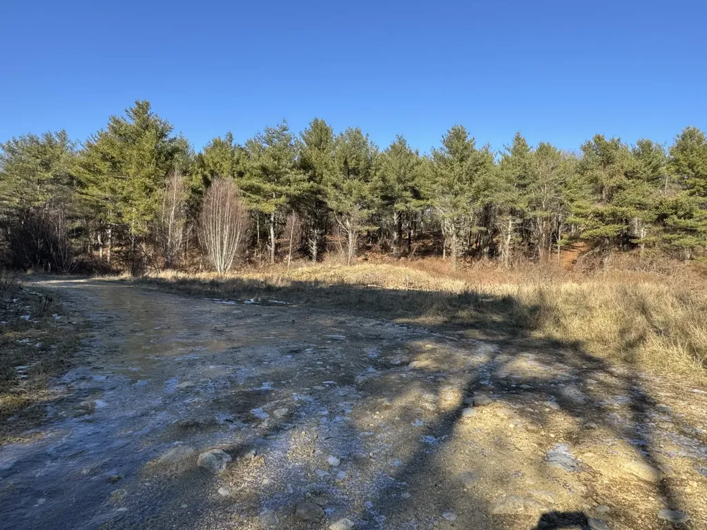 Lot 650 Gebung Road Alfred ME 04002