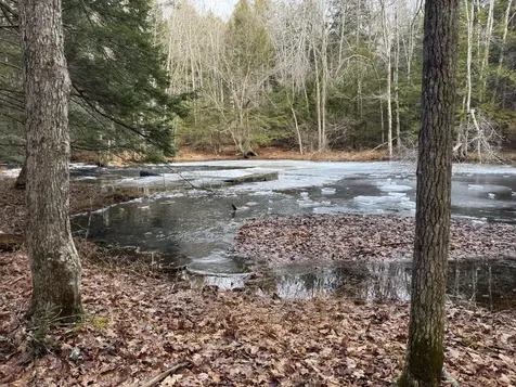 Lot 650 Gebung Road Alfred ME 04002