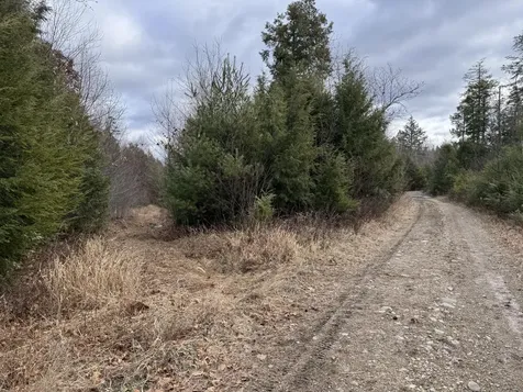 Lot 650 Gebung Road Alfred ME 04002