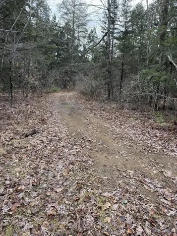 Lot 650 Gebung Road Alfred ME 04002