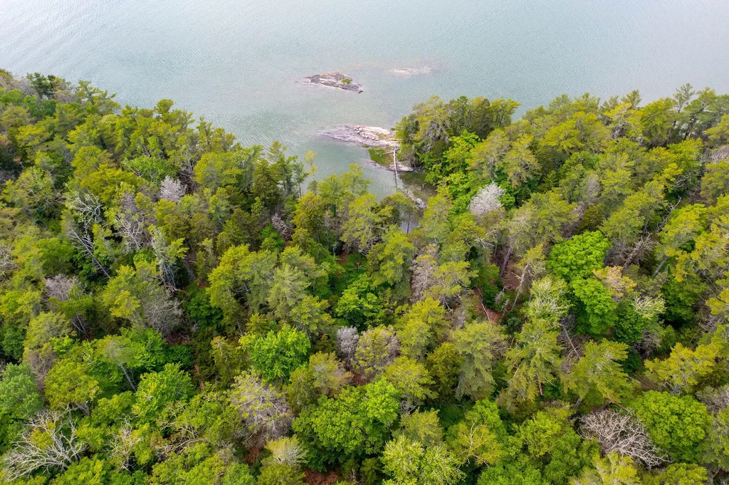 Map 80 Lot 18-0 White Island Harpswell ME 04079