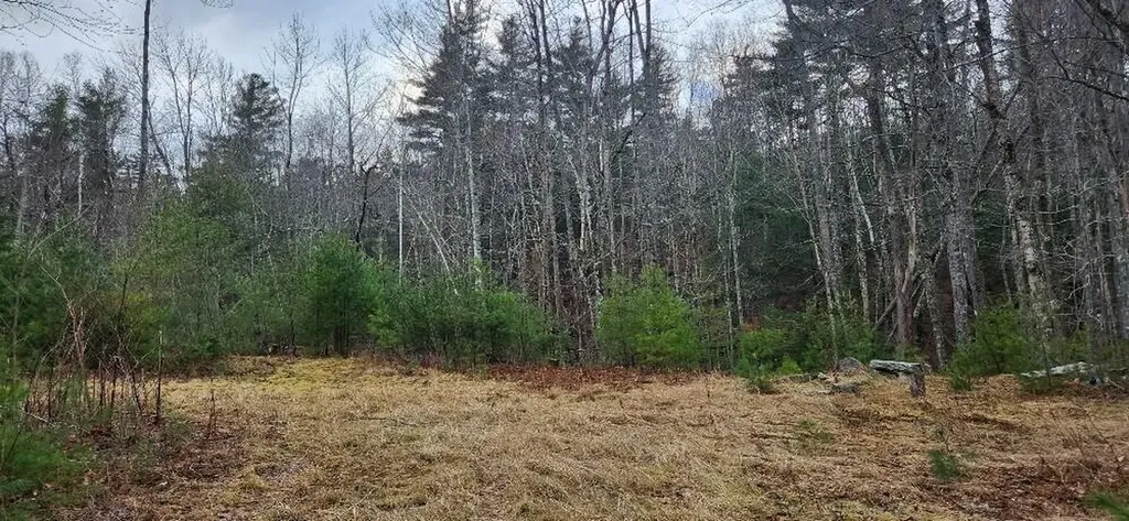 523 Bald Mountain Road Dedham ME 04429
