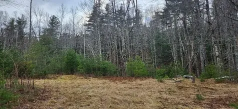 523 Bald Mountain Road Dedham ME 04429