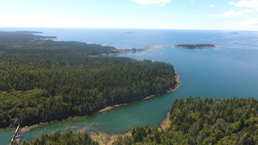 291 Black Duck Cove Road Beals ME 04611