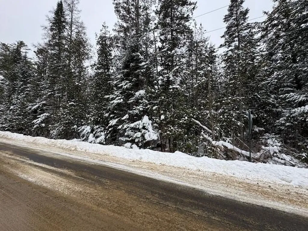 Lot 15-15 Stetson Road Levant ME 04456